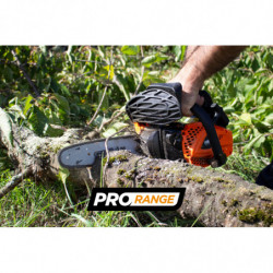 Petrol pruner 25.4 cm³ 25 cm - Oregon guide and chain