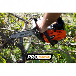 Petrol pruner 25.4 cm³ 25 cm - Oregon guide and chain