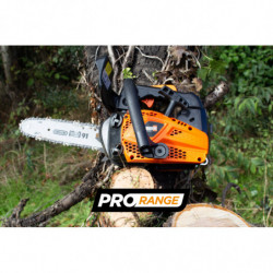 Petrol pruner 25.4 cm³ 25 cm - Oregon guide and chain