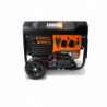 Dual fuel Generators 3200 W - electric and recoil start  - AVR system