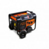 Dual fuel Generators 3200 W - electric and recoil start  - AVR system