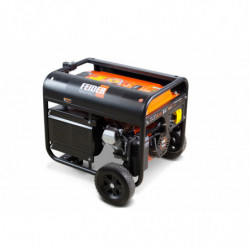 Dual fuel Generators 3200 W - electric and recoil start  - AVR system