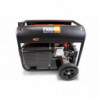 Dual fuel Generators 3200 W - electric and recoil start  - AVR system