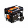 Dual fuel Generators 3200 W - electric and recoil start  - AVR system