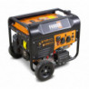 Dual fuel Generators 3200 W - electric and recoil start  - AVR system