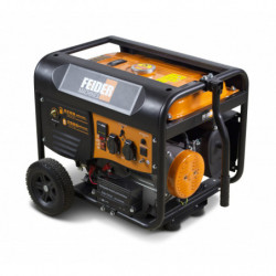 Dual fuel Generators 3200 W - electric and recoil start  - AVR system