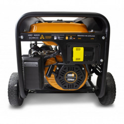 Dual fuel Generators 3200 W - electric and recoil start  - AVR system